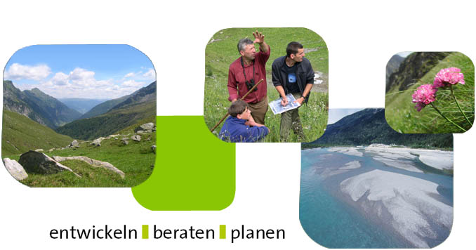 entwickeln | beraten | planen